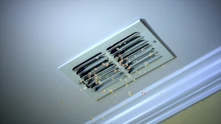 Best Local Air Duct Cleaning Services  in Loudoun Lley Estates, VA