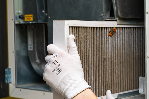 Best Affordable Duct Cleaning Services  in Loudoun Lley Estates, VA