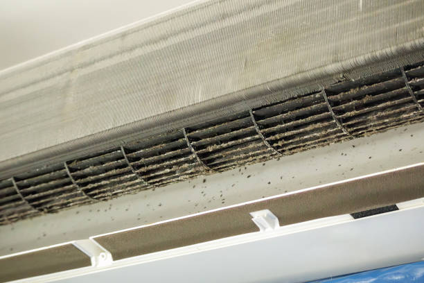 Best HVAC System Cleaning  in Loudoun Lley Estates, VA